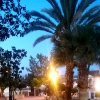 Urb. los Tejares (9)